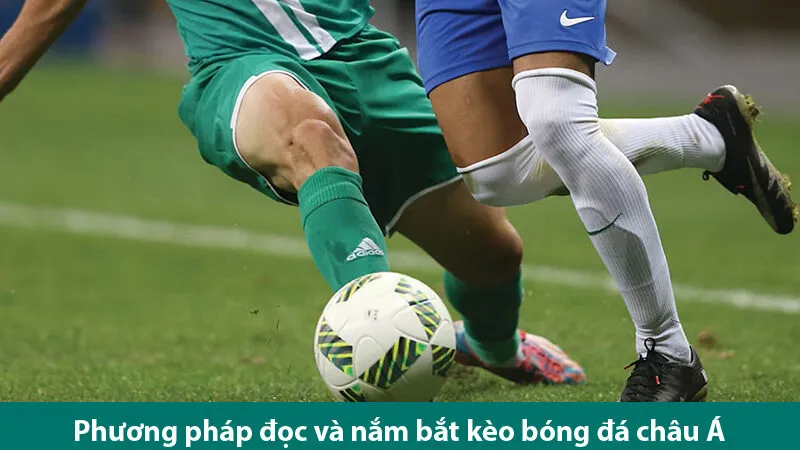 Tìm hiểu về kèo chấp châu Á, những mẹo chơi bất bại từ các chuyên gia cá cược