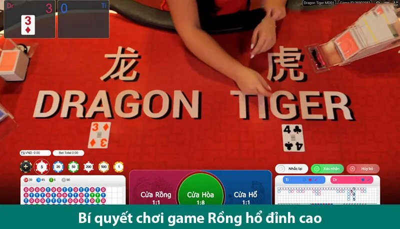Khám phá luật và bí quyết chơi Dragon Tiger trực tuyến đỉnh cao từ cao thủ cờ bạc